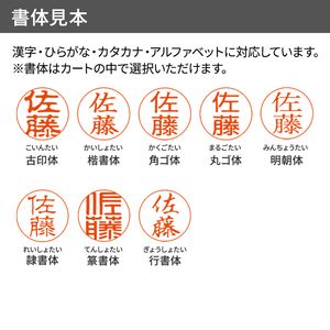 クイックC9 Camila（カミラ） 別製品